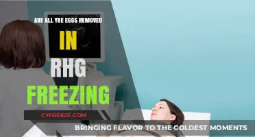 Egg Retrieval in RHG Freezing: Are All Eggs Removed?