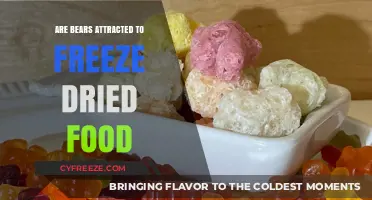 Do Bears Have a Sweet Tooth for Freeze-Dried Delights?