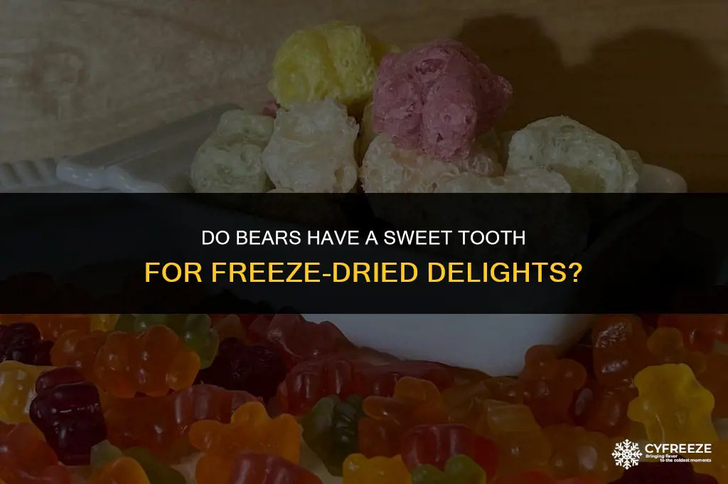 are bears attracted to freeze dried food