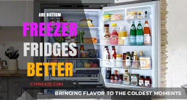 Chill Debate: Bottom Freezer Fridges - The Better Choice?