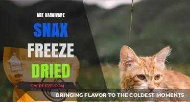 Exploring Carnivore Snacks: The Freeze-Drying Process Uncovered