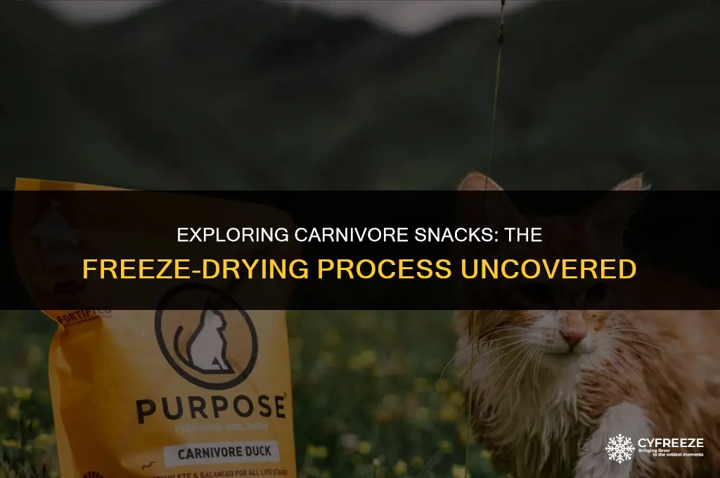 are carnivore snax freeze dried