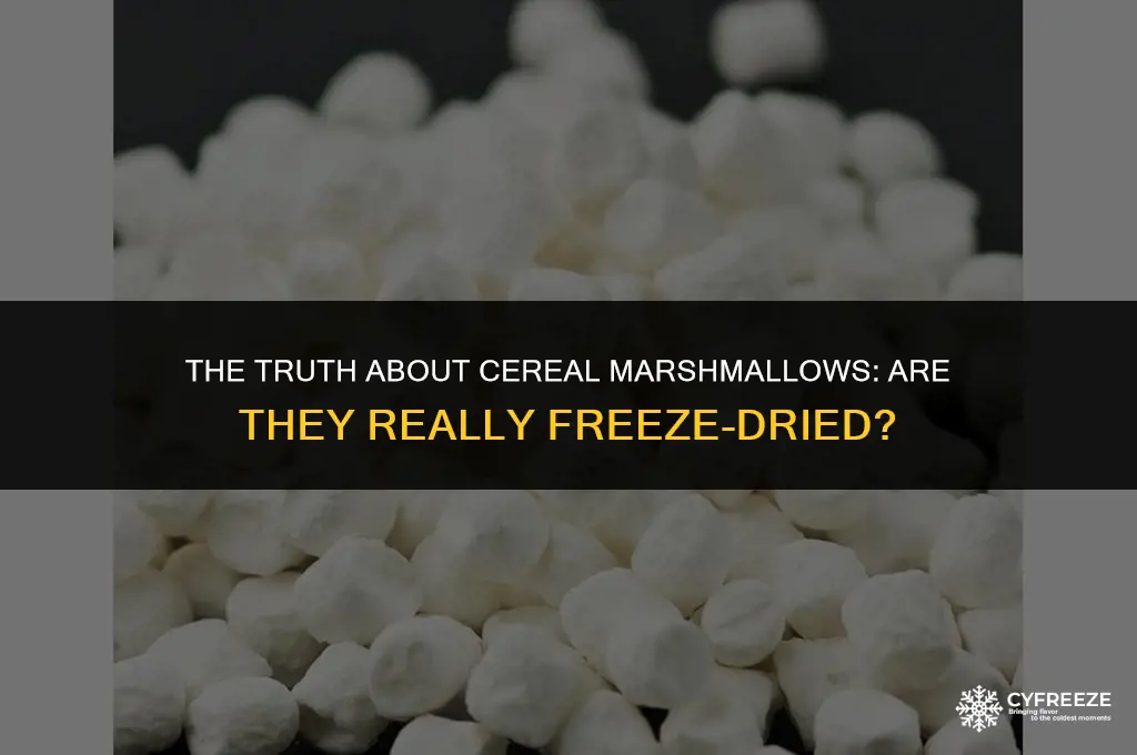 are cereal marshmallows freeze dried
