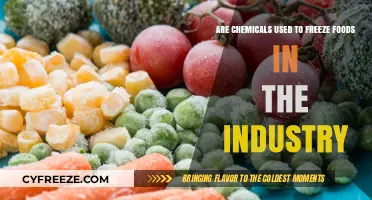 Unveiling the Role of Chemicals in Industrial Food Freezing Processes