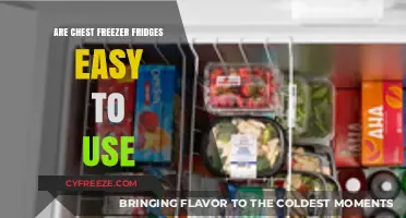 Effortless Food Storage: The User-Friendly Guide to Chest Freezers