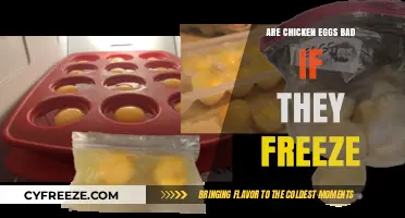 The Surprising Truth About Freezing Chicken Eggs: Safe or Not?