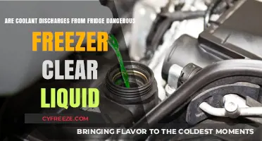 Understanding Coolant Discharges: Are They Dangerous?