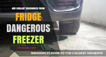 Exploring the Safety Concerns of Coolant Discharges from Refrigerators and Freezers