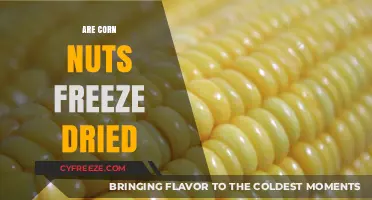 Exploring the Crunch: Are Corn Nuts Freeze-Dried?