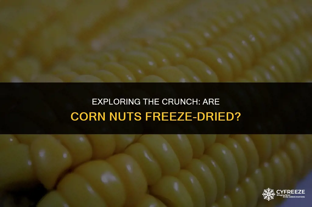 are corn nuts freeze dried