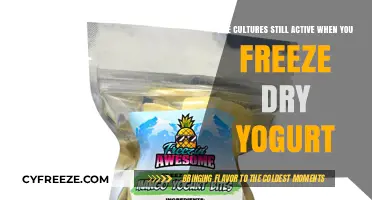 Preserving Traditions: The Cultural Significance of Freeze-Dried Yogurt