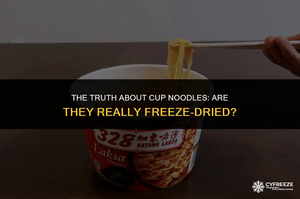 are cup noodles freeze dried