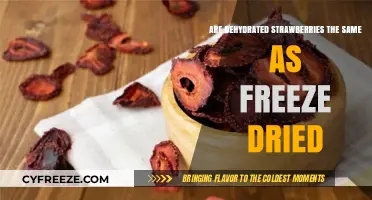 Exploring the Differences: Dehydrated vs Freeze-Dried Strawberries