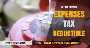 Can Egg Freezing Costs Be Tax Deductible? What You Need to Know