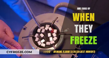 Do Eggs Freeze Well? Exploring the Science and Best Practices