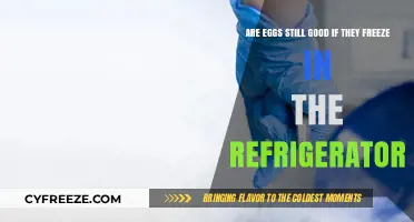 Frozen Eggs in the Fridge: Are They Still Safe to Eat?