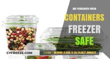 Exploring the Freezer Safety of Foodsaver Fresh Containers