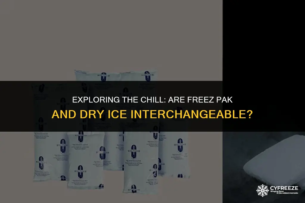 are freez pak the same as dry ice