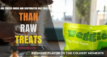 Exploring the Safety of Freeze-Dried and Dehydrated Dog Treats vs. Raw Options