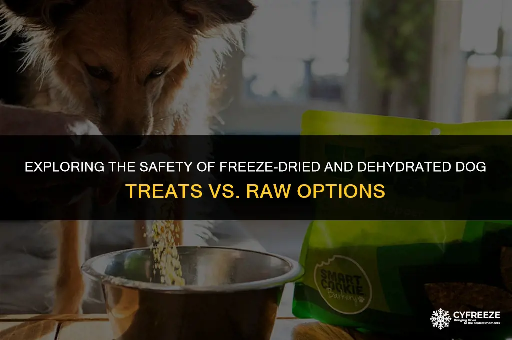 are freeze-dried and dehydrated dog treats safer than raw treats