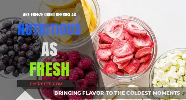 Nutritional Showdown: Freeze-Dried vs. Fresh Berries - Which Wins?