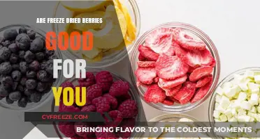 Exploring the Health Benefits of Freeze-Dried Berries: A Nutritional Guide