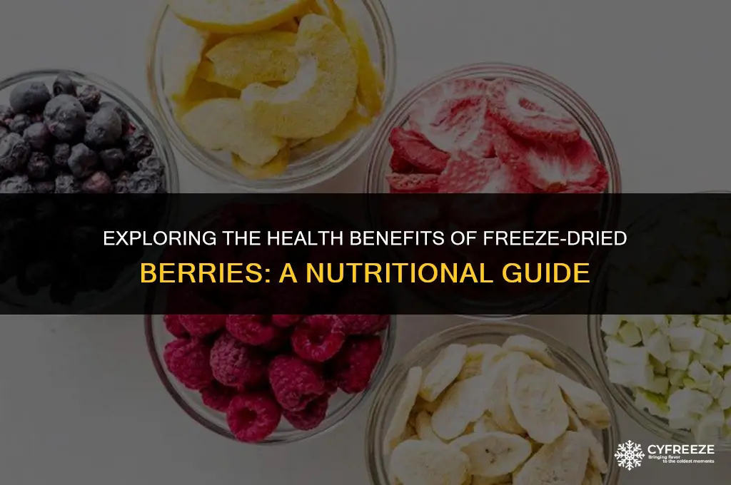 are freeze dried berries good for you