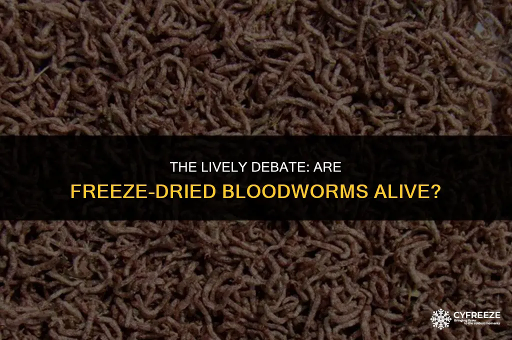 are freeze dried bloodworms alive