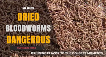 Exploring the Safety of Freeze-Dried Bloodworms: A Comprehensive Guide