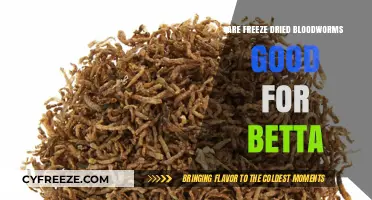 Nutritional Benefits of Freeze-Dried Bloodworms for Betta Fish