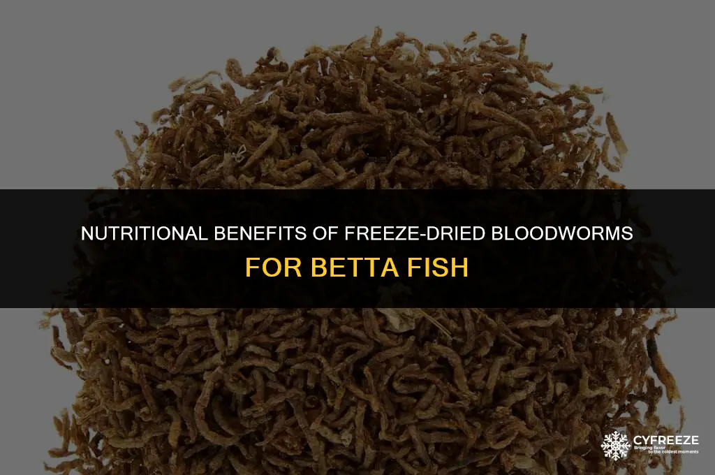 are freeze dried bloodworms good for betta