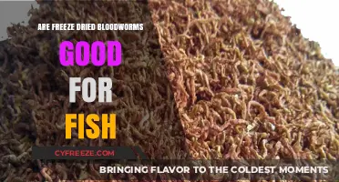 The Benefits of Freeze-Dried Bloodworms for Fish: A Complete Guide
