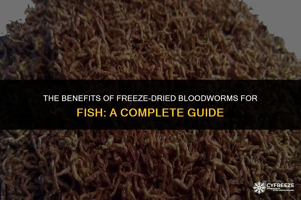 are freeze dried bloodworms good for fish
