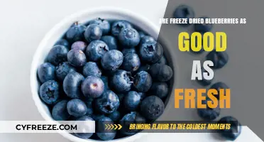 Comparing Freeze-Dried and Fresh Blueberries: Which Berry Reigns Supreme?