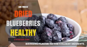 Exploring the Health Benefits of Freeze-Dried Blueberries: A Nutritional Guide