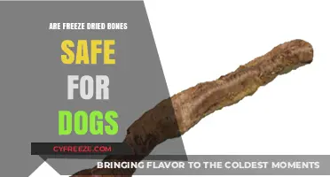 Crunchy and Nutritious: The Truth About Freeze-Dried Bones for Dogs