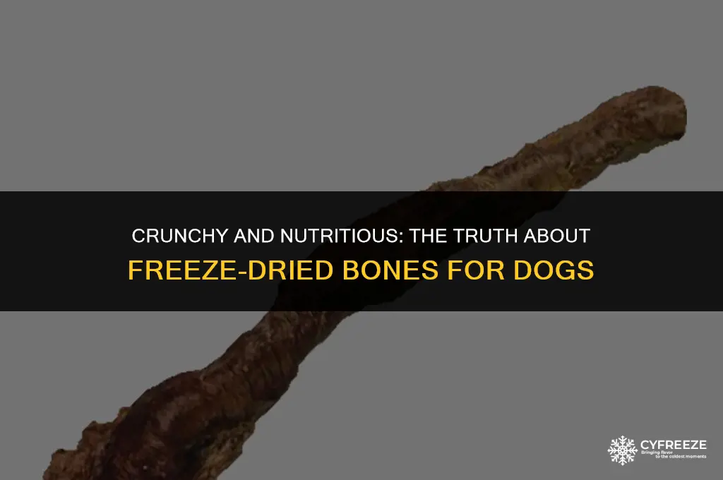 are freeze dried bones safe for dogs