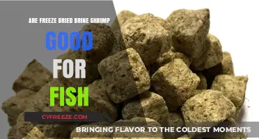 The Benefits of Freeze-Dried Brine Shrimp for Fish Health