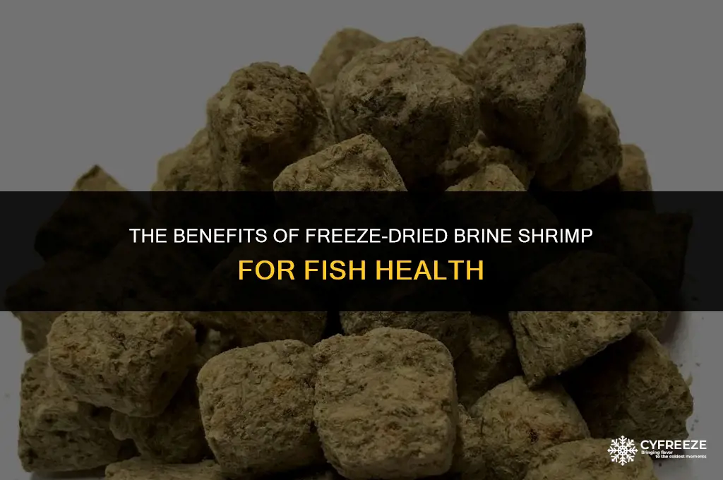 are freeze dried brine shrimp good for fish