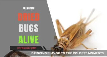 The Surprising Truth About Freeze-Dried Bugs: Are They Alive?