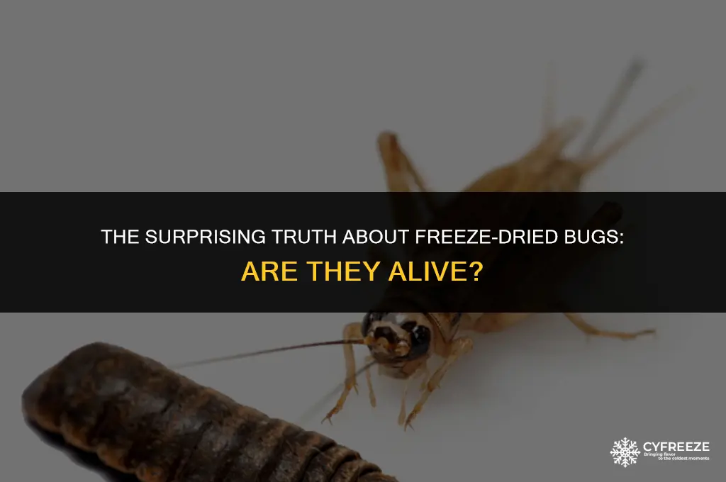 are freeze dried bugs alive