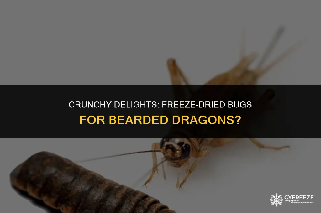 are freeze dried bugs good for bearded dragons