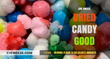 Exploring the Pros and Cons of Freeze-Dried Candy: A Comprehensive Guide