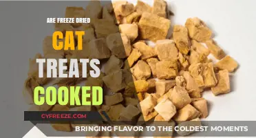 Exploring the Culinary Process Behind Freeze-Dried Cat Treats