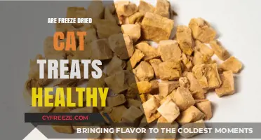 Exploring the Health Benefits of Freeze-Dried Cat Treats