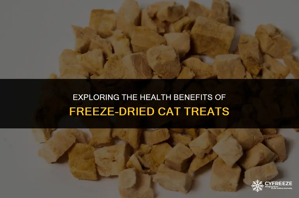 are freeze dried cat treats healthy