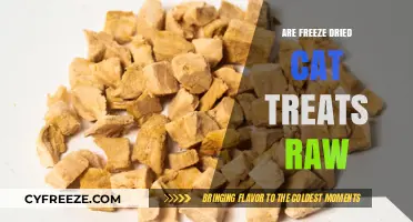 Exploring the Raw Deal: Are Freeze-Dried Cat Treats Truly Raw?