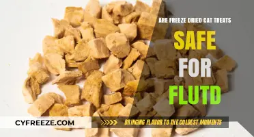 Exploring the Safety of Freeze-Dried Cat Treats for FLUTD