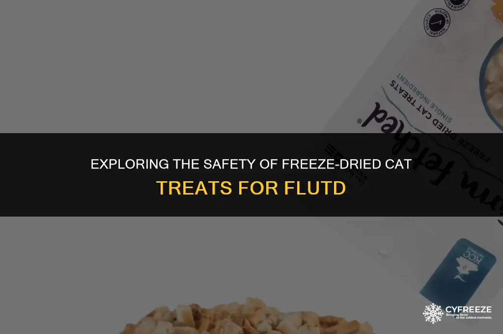 are freeze dried cat treats safe for flutd