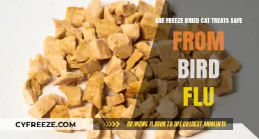 Protecting Your Feline Friend: The Safety of Freeze-Dried Cat Treats Amidst Bird Flu Concerns